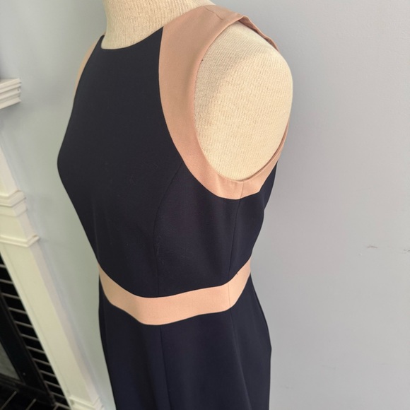 J.CREW Gwen navy blue colorblock sheath dress NEW NWT Size 8 nude blush pink - Picture 8 of 9